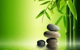 3 bài học đáng suy ngẫm về thành công mà tôi học được từ “cuộc đời của cây tre”